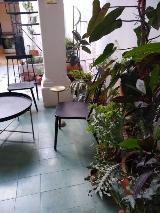 Casa Cuauhtemoc Villa Guadalajara Bagian luar foto