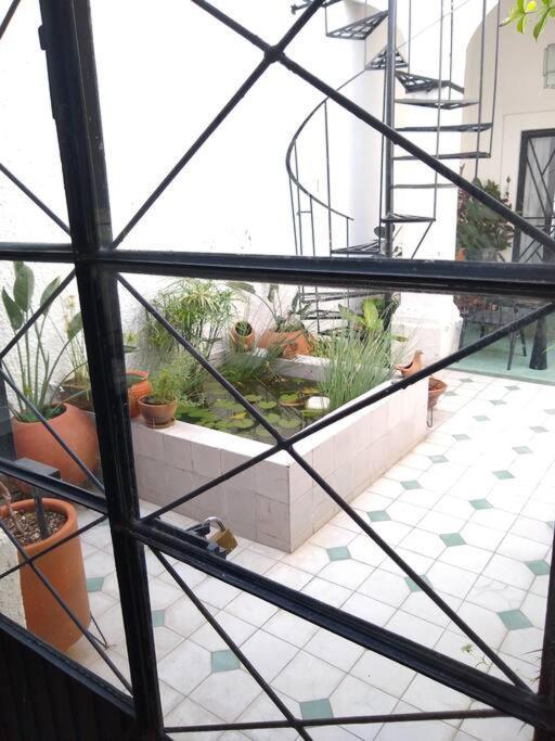 Casa Cuauhtemoc Villa Guadalajara Bagian luar foto