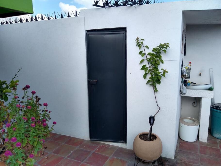 Casa Cuauhtemoc Villa Guadalajara Bagian luar foto