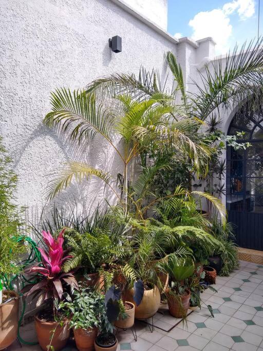 Casa Cuauhtemoc Villa Guadalajara Bagian luar foto