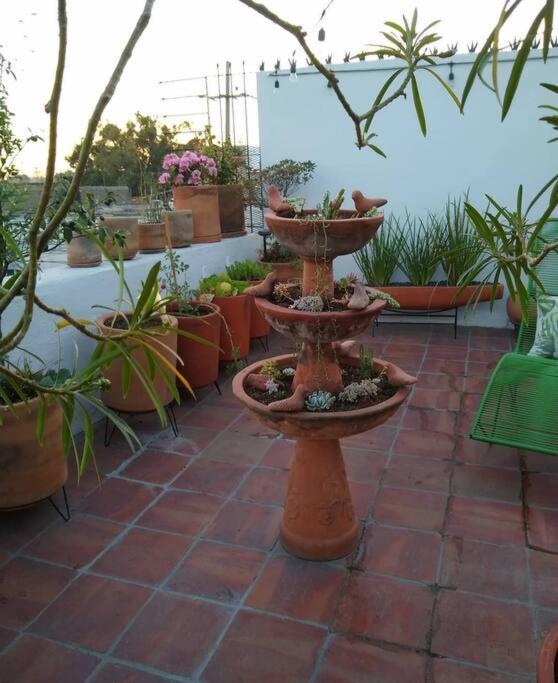 Casa Cuauhtemoc Villa Guadalajara Bagian luar foto