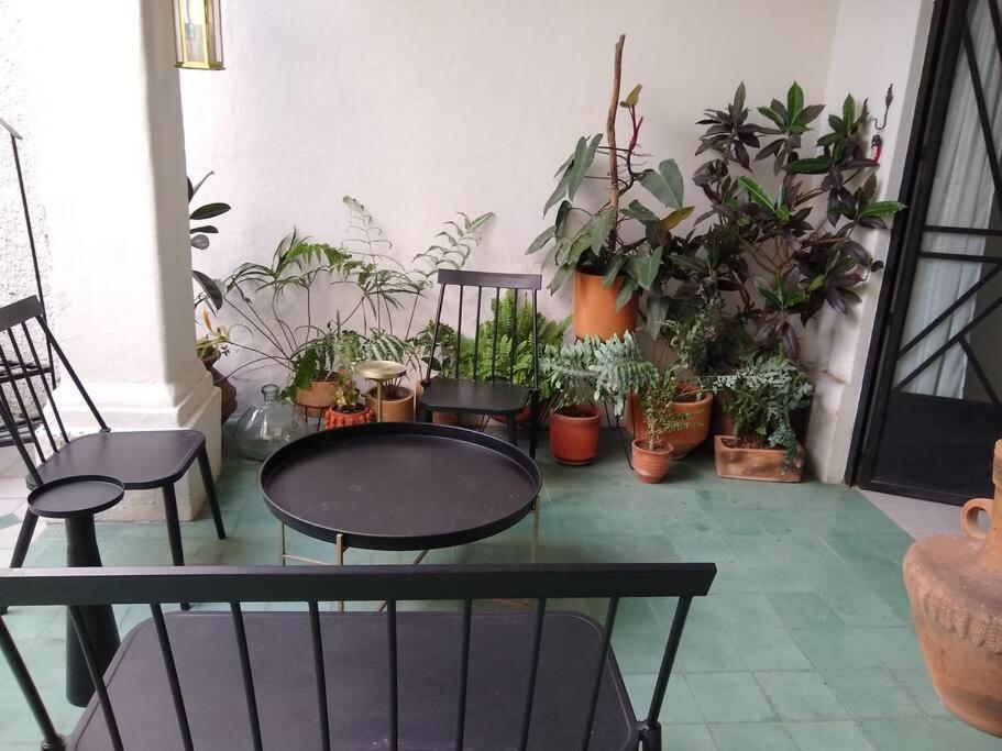 Casa Cuauhtemoc Villa Guadalajara Bagian luar foto