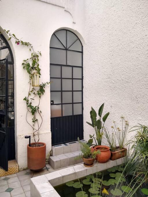 Casa Cuauhtemoc Villa Guadalajara Bagian luar foto